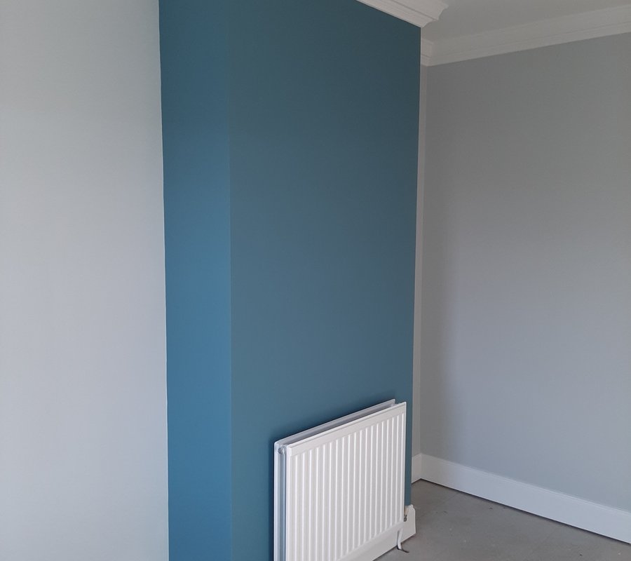 Blue feature wall with white coving and skirting